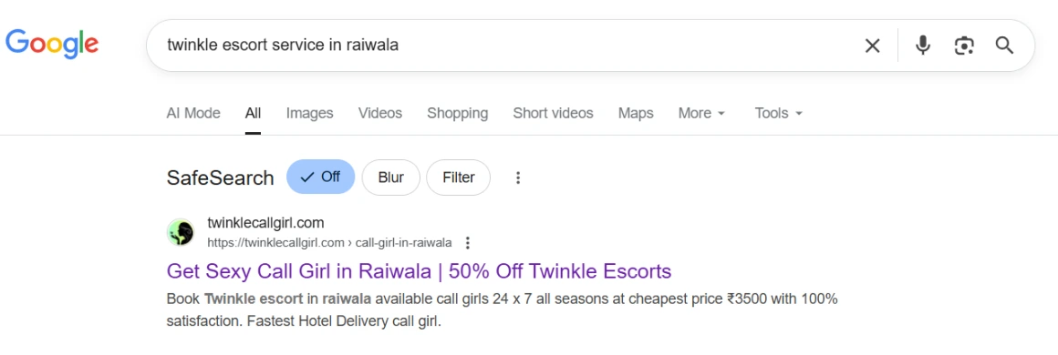 screenshot result keyword type on google 'twinkle escort service in raiwala'